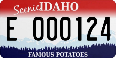 ID license plate E000124