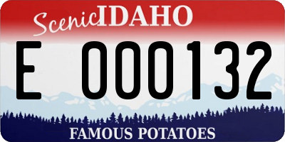 ID license plate E000132