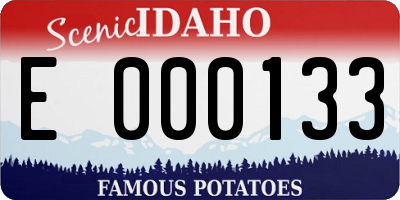 ID license plate E000133