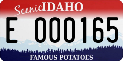 ID license plate E000165