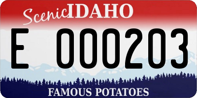 ID license plate E000203