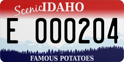 ID license plate E000204