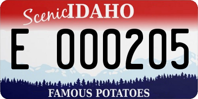 ID license plate E000205