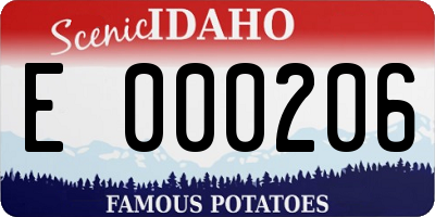 ID license plate E000206