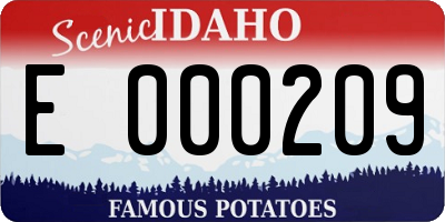 ID license plate E000209