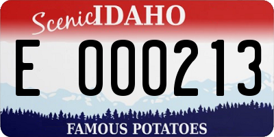 ID license plate E000213