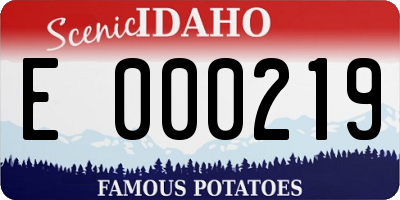 ID license plate E000219