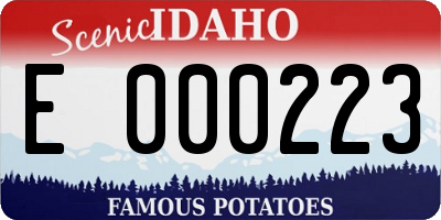 ID license plate E000223