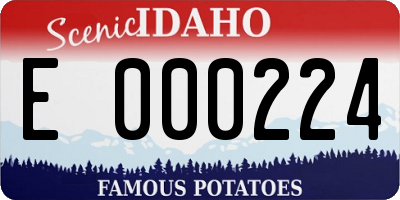 ID license plate E000224