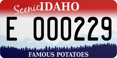 ID license plate E000229