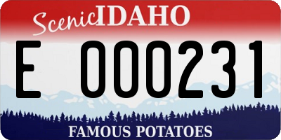 ID license plate E000231