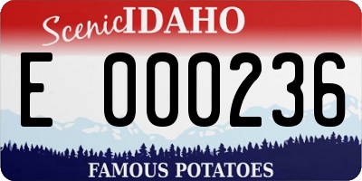 ID license plate E000236