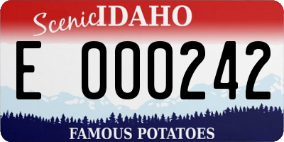 ID license plate E000242