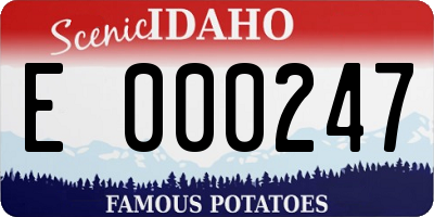 ID license plate E000247