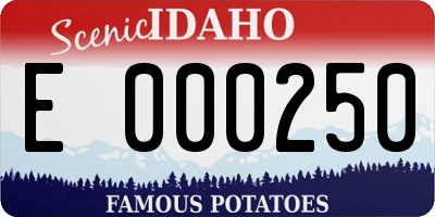 ID license plate E000250