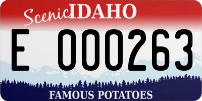 ID license plate E000263