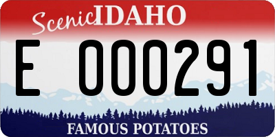 ID license plate E000291