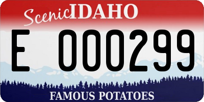 ID license plate E000299