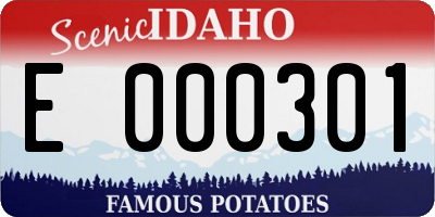 ID license plate E000301