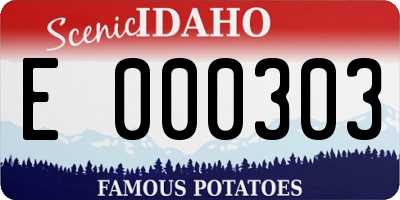 ID license plate E000303