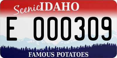 ID license plate E000309