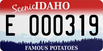 ID license plate E000319