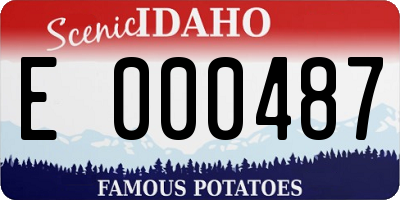 ID license plate E000487