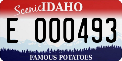 ID license plate E000493