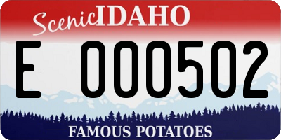 ID license plate E000502