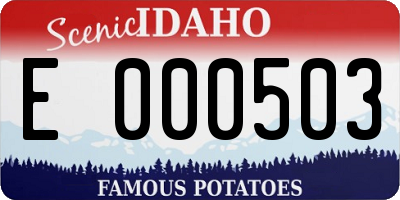 ID license plate E000503