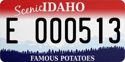 ID license plate E000513