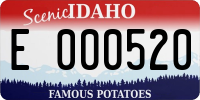 ID license plate E000520