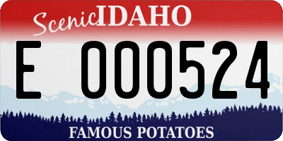 ID license plate E000524