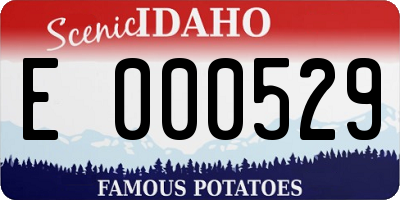 ID license plate E000529