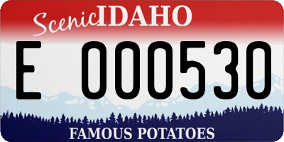 ID license plate E000530
