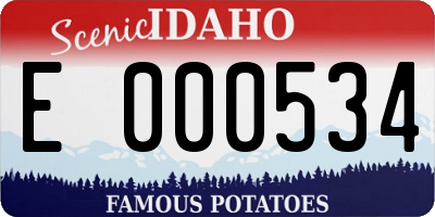ID license plate E000534