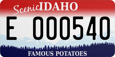 ID license plate E000540