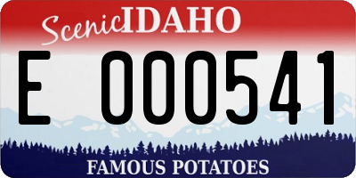 ID license plate E000541