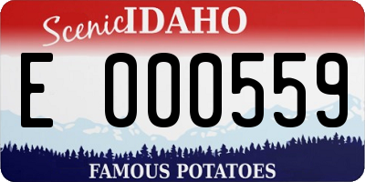 ID license plate E000559