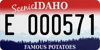 ID license plate E000571