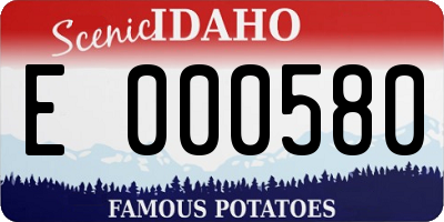 ID license plate E000580