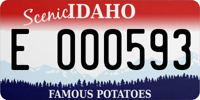 ID license plate E000593