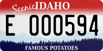 ID license plate E000594