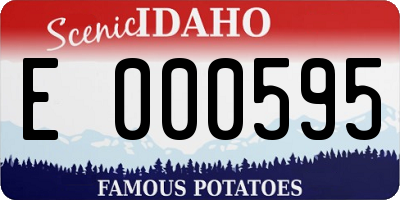 ID license plate E000595