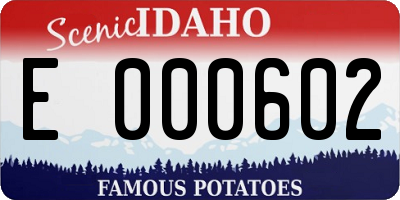 ID license plate E000602