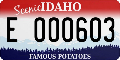 ID license plate E000603