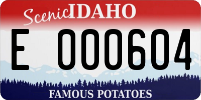 ID license plate E000604