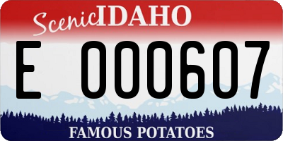 ID license plate E000607