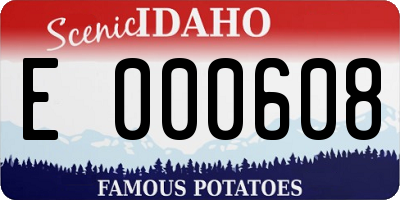 ID license plate E000608