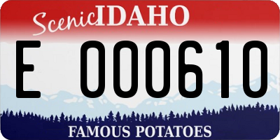 ID license plate E000610